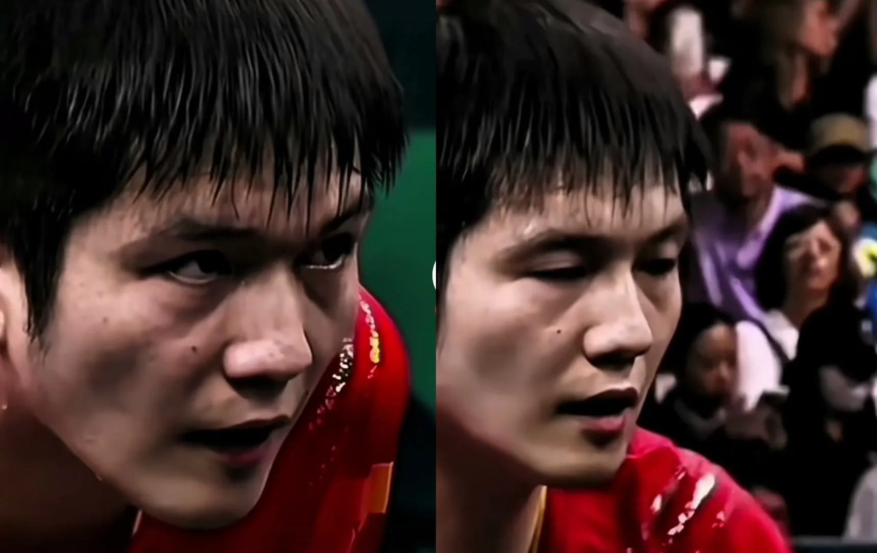 日本队翻盘韩国队，樊振东状态火热的简单介绍