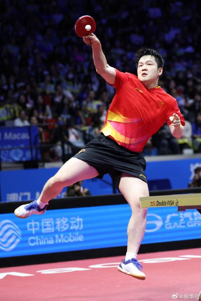 英格兰队横扫德国队，樊振东惊艳四座