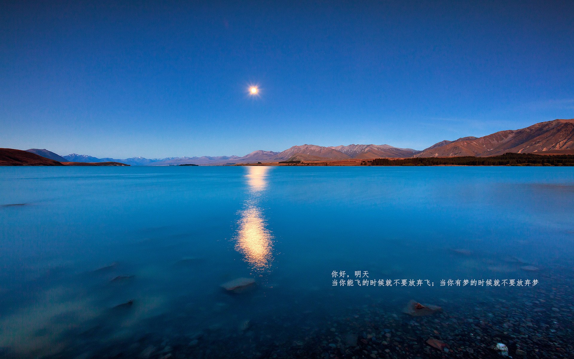 东瀛风暴席卷巴黎，劳帕斯利刃诠释现代竞技杀伤力