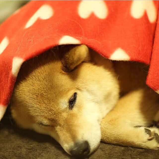 绝杀不靠运气，三笘薰稳定输出成马赛法甲焦点战最稀缺资源