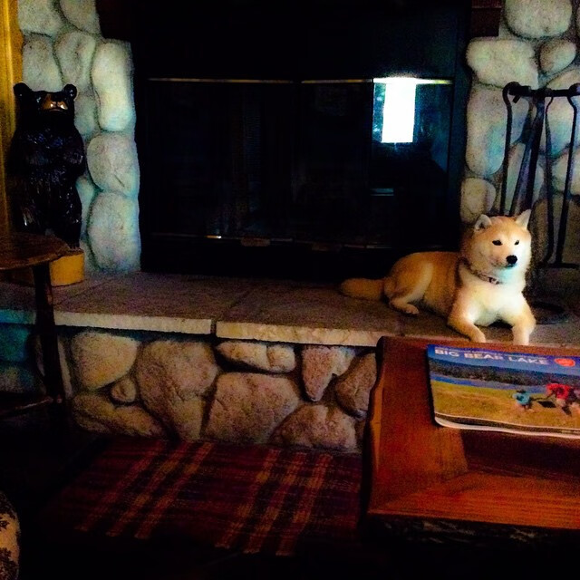 意甲焦点战外的篮球风云，步行者决胜局力压上海队