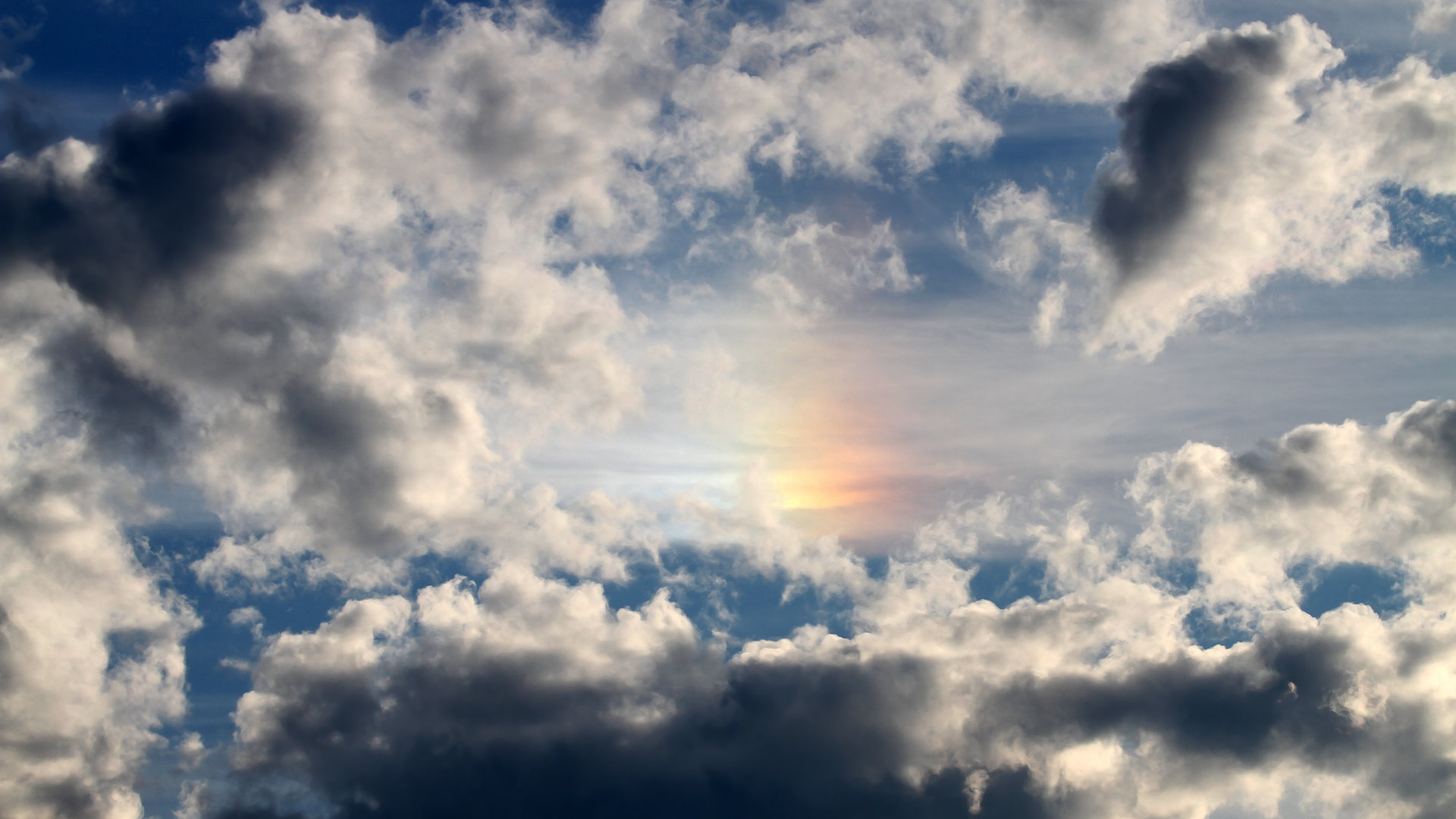 金色闪电，格纳布里撕碎北境神话，袋鼠军团在美加墨掀起南半球风暴