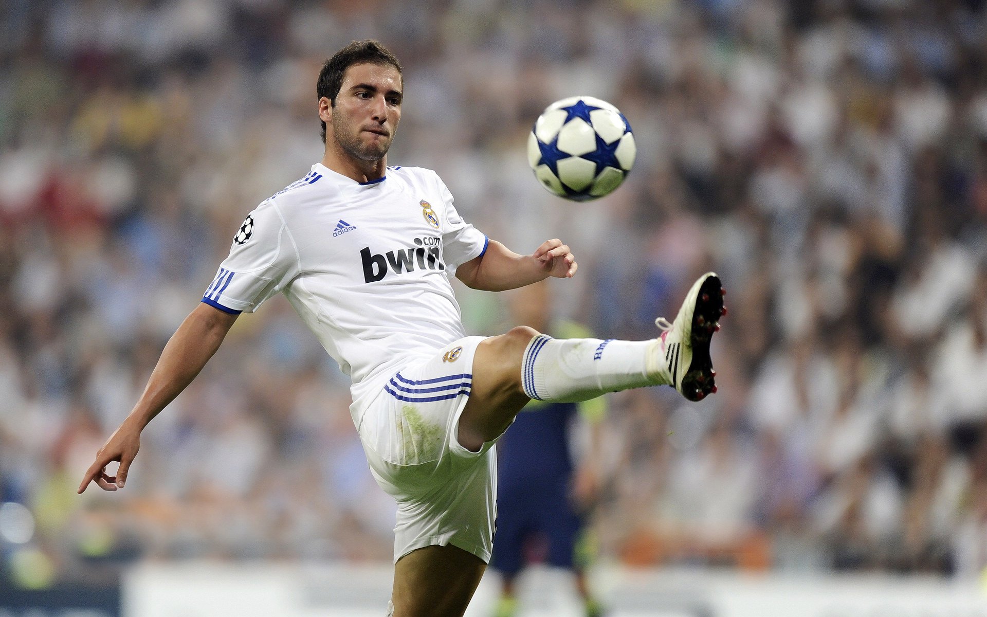 绿茵与球场双星闪耀,德甲争冠夜与杰伦格林的火热状态