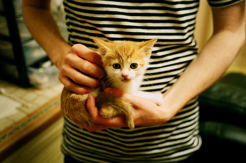 璀璨明星非洲之鹰，蒂亚戈爆发引领尼日利亚斩落洪都拉斯