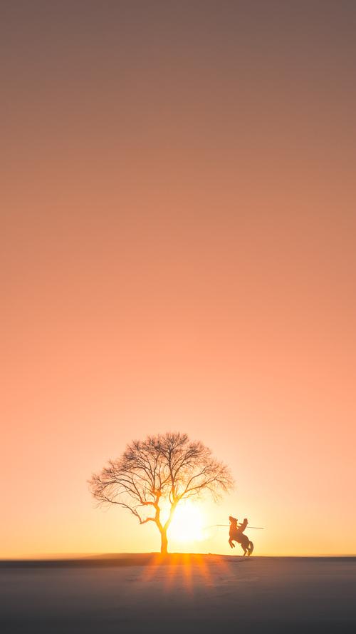 活塞强势晋级广东队,马克西成关键先生闪耀赛场