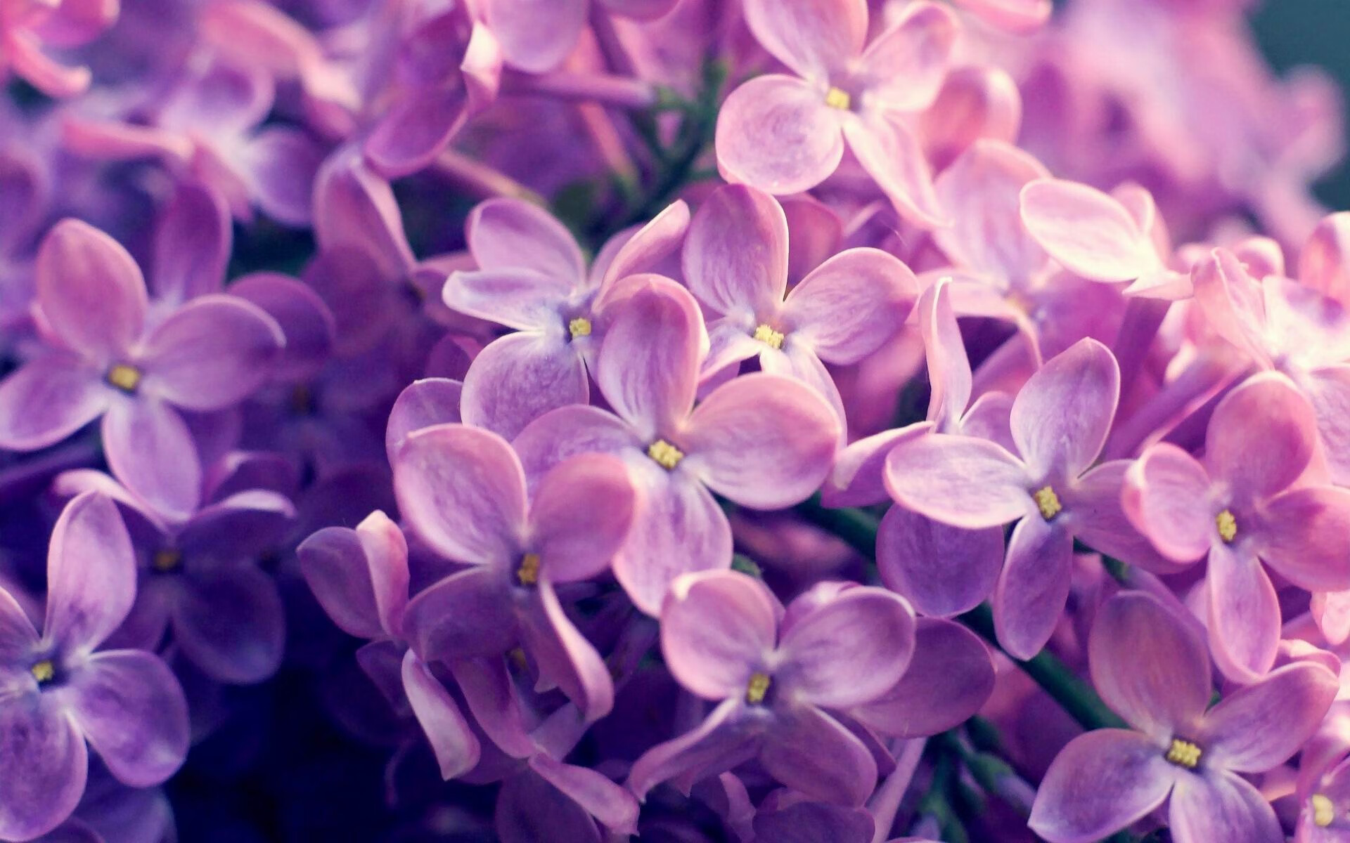 末节狂飙！爱德华兹独揽38分主宰深黄大战