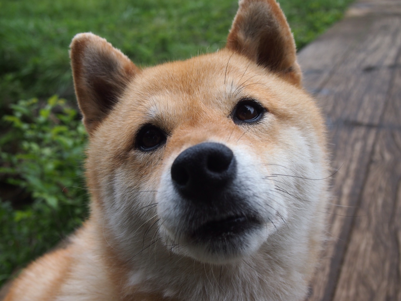 基耶萨闪电两连击，米兰三分钟终结悬念