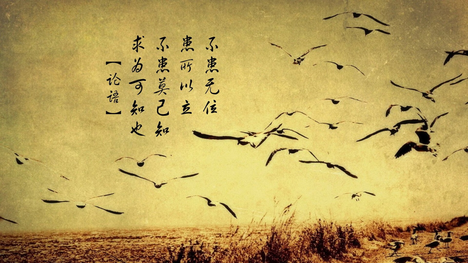 狂飙51分+末节封神！欧文打崩卫冕冠军防线，山西上演逆袭终结辽宁王朝？