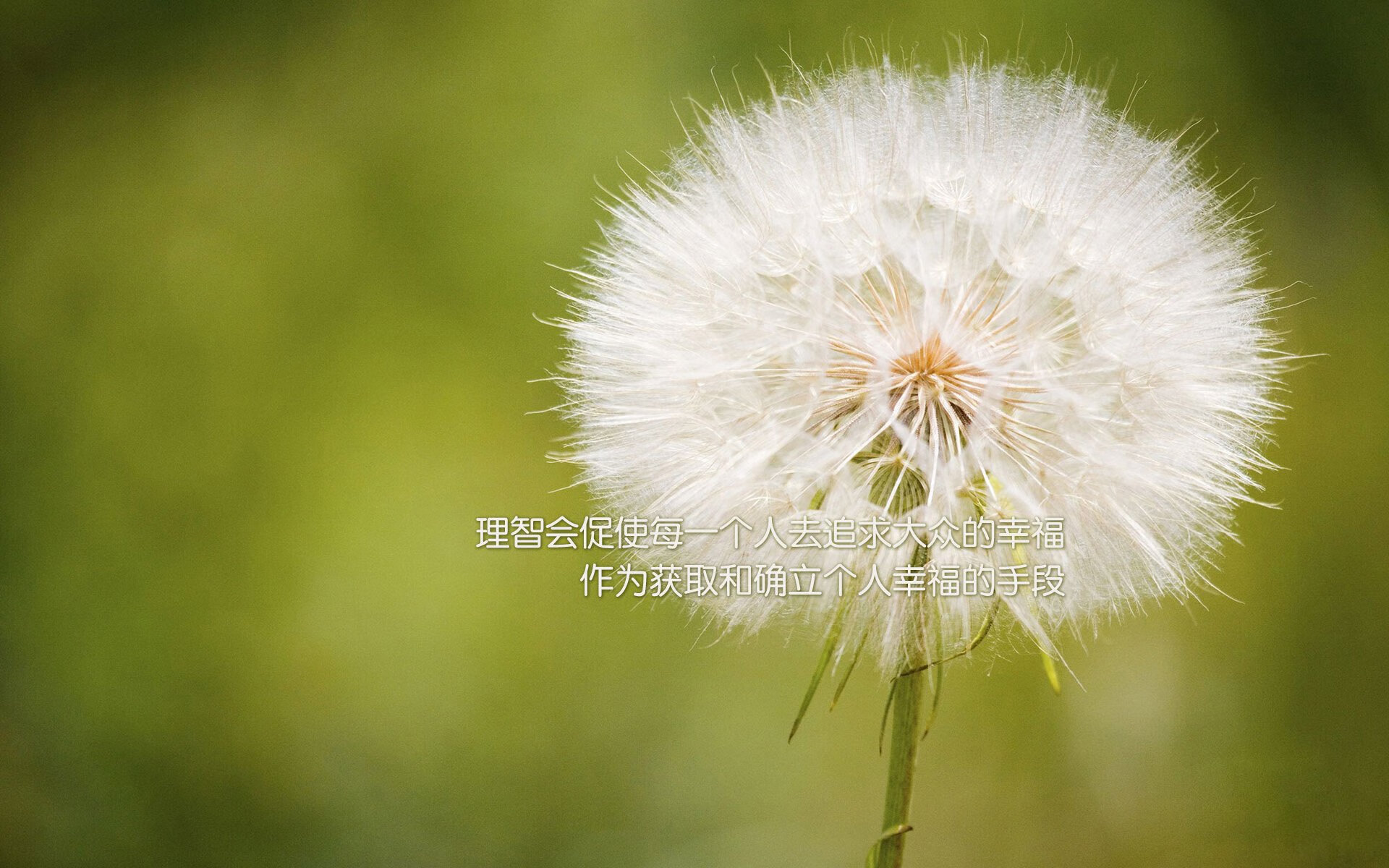 夜空之矛,哈弗茨在焦点之夜的无解进攻艺术