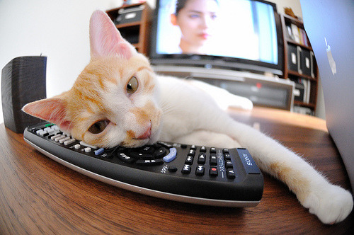 绝杀时刻,当土耳其的血拼遇上澳大利亚的钢铁防线,萨内如何一锤定音?