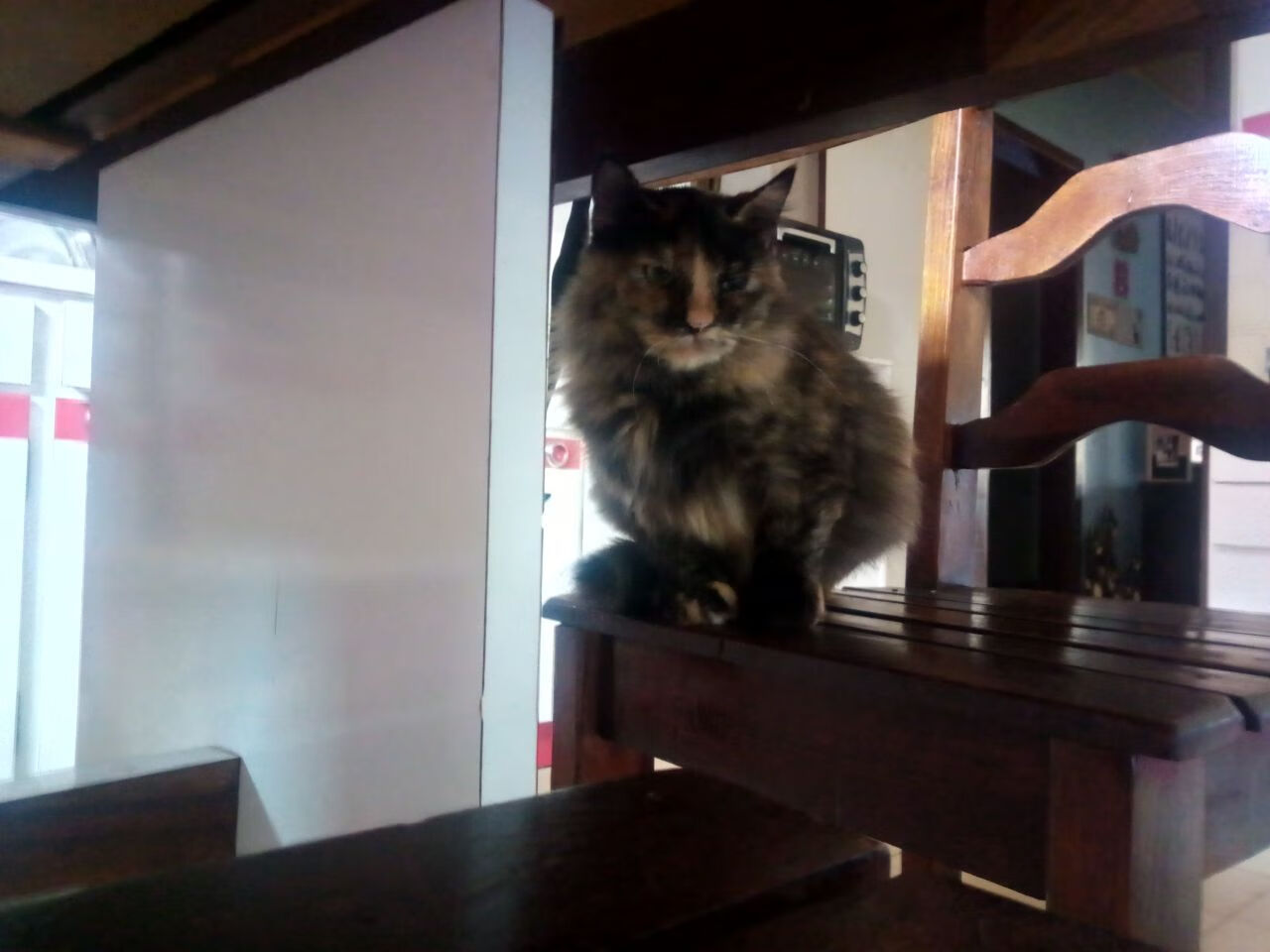 魔术魔力四射斩落热火，米切尔全能表现堪称完美