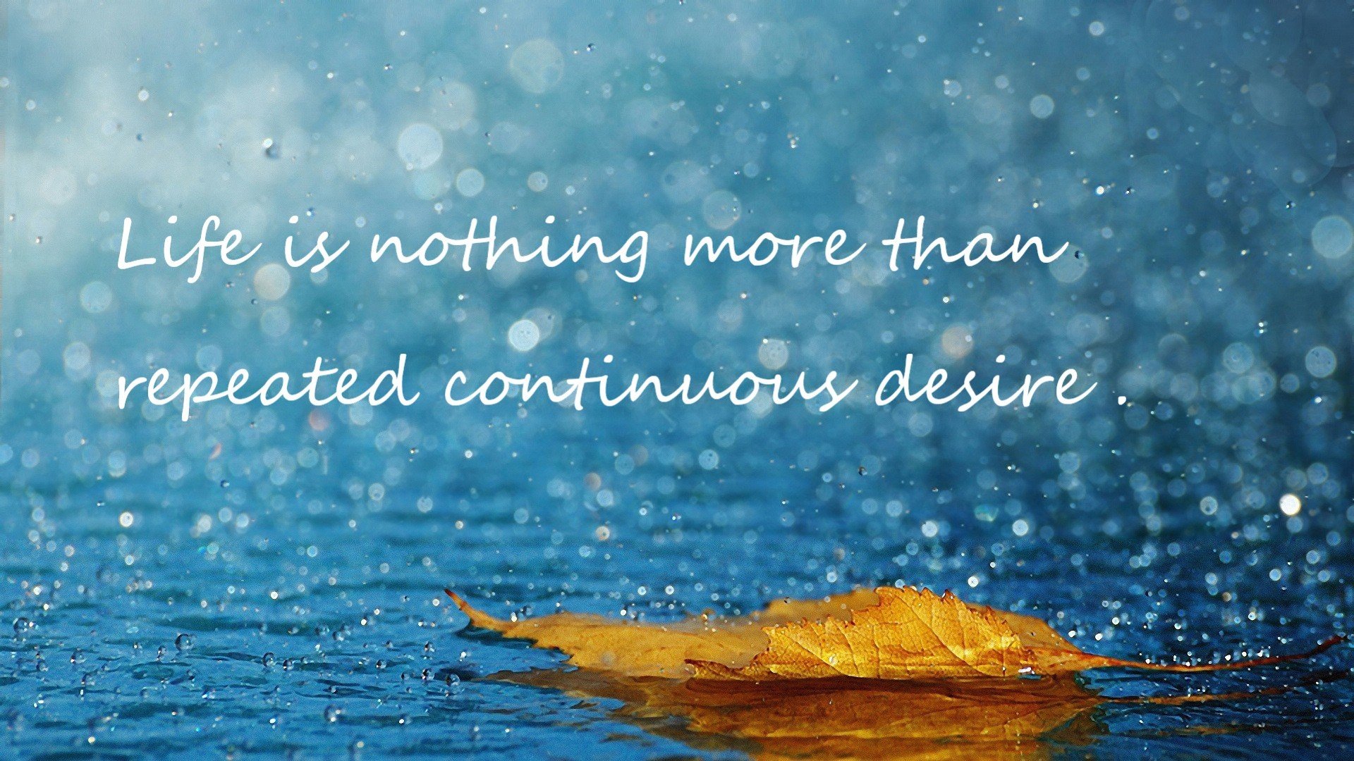 交响乐与利刃,当团队节奏遇见巨星接管